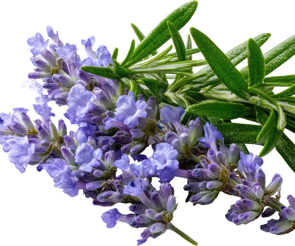 Aromatisch und luftig