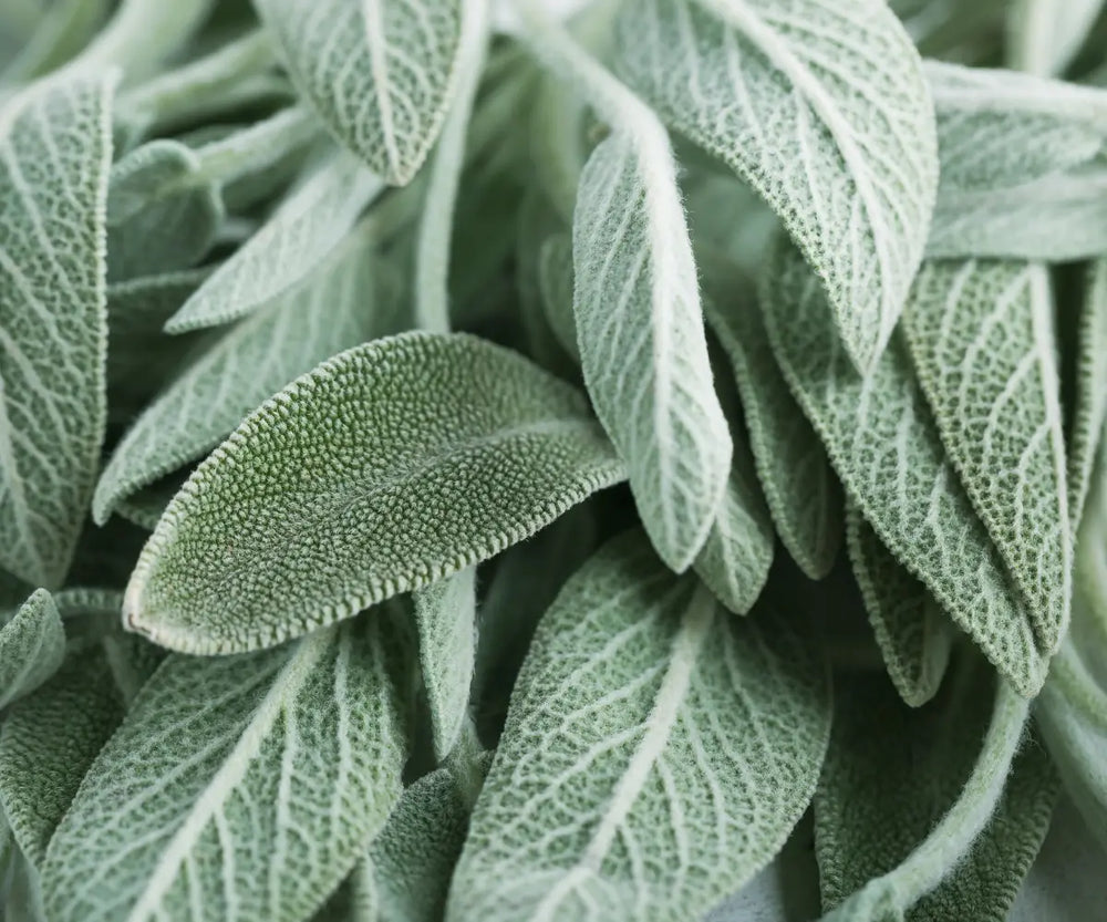 Aromatisch en kruidig