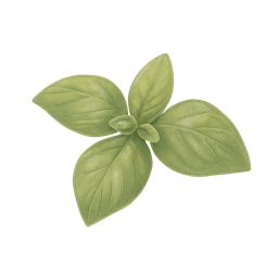 Basil
