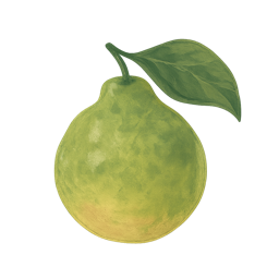Bergamot
