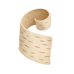 Birch