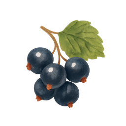 Blackcurrant