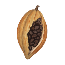 Cocoa