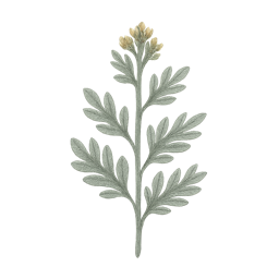 Davana