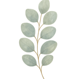 Eucalyptus