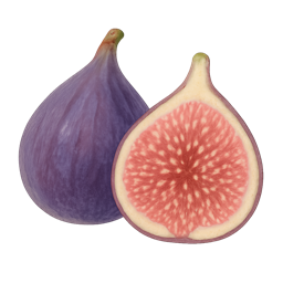 Fig