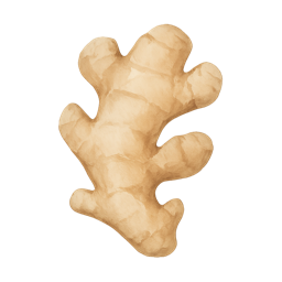 Ginger