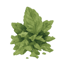 Green Notes