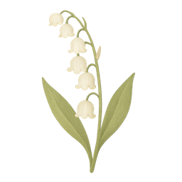 Lily of the Valley