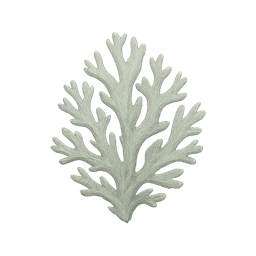 Oakmoss
