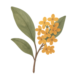 Osmanthus
