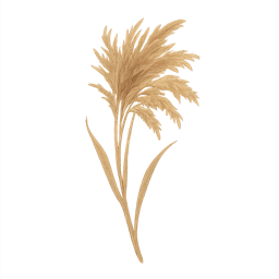 Papyrus