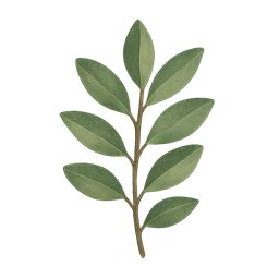 Petitgrain