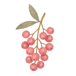 Pink Pepper