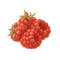 Raspberry