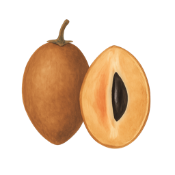 Sapodilla