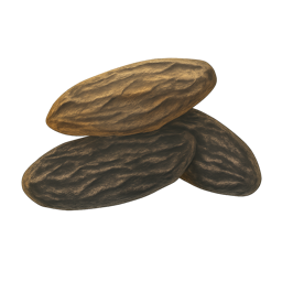 Tonka Bean
