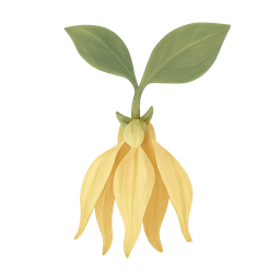 Ylang-Ylang