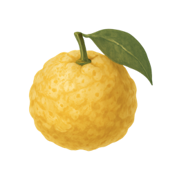 Yuzu